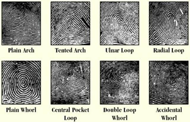 Fingerprint Pattern Identification Practice