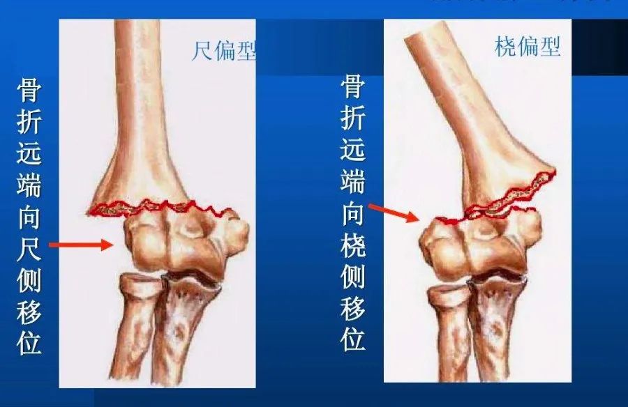 司法鉴定所